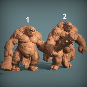 Cave Trolls Troll Resin 3D Printed Model
